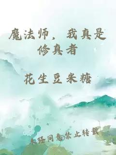 魔法師，我真是修真者