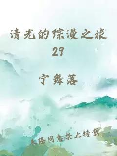 清光的綜漫之旅29