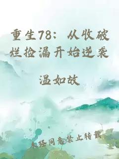 重生78：從收破爛撿漏開始逆襲