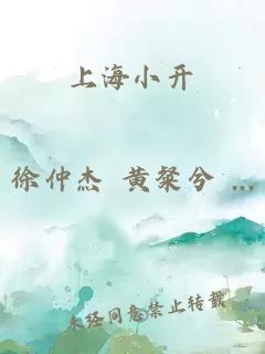 上海小開