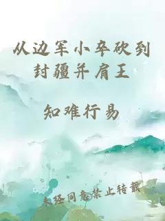 從邊軍小卒砍到封疆并肩王