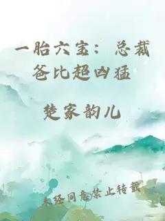一胎六寶：總裁爸比超兇猛