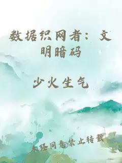 數據織網者：文明暗碼