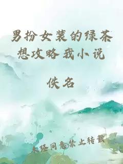 男扮女裝的綠茶想攻略我小說