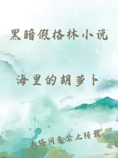 黑暗假格林小說